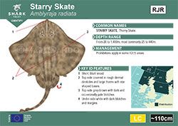 Starry Skate Pocket Guide (pdf)