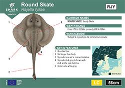 Round Skate Pocket Guide (pdf)