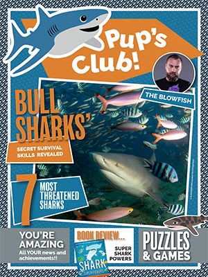 Cover of Shark Focus Magazine #65 (Pups Club)