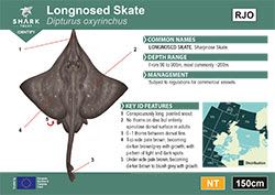 Longnosed Skate Pocket Guide (pdf)