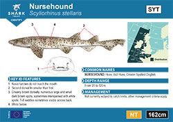 Nursehound Pocket Guide (pdf)