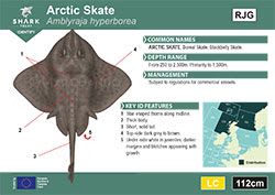 Arctic Skate Pocket Guide (pdf)