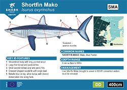 Shortfin Mako Pocket Guide (pdf)