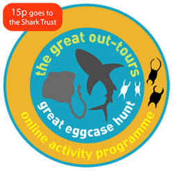 Great Out-Tours Eggcase Hunt Logo