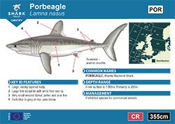 Porbeagle Pocket Guide (pdf)