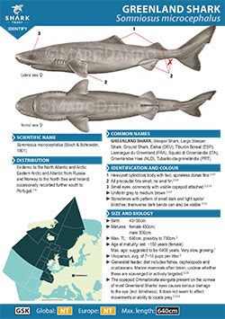 Greenland Shark ID Guide (pdf)